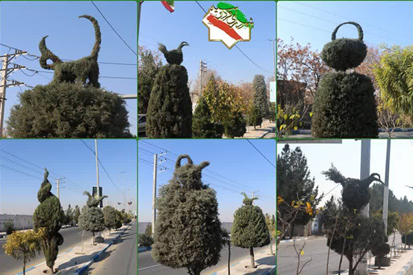 آغاز عملیات هرس و فرم‌دهی درختان و فضای سبز شهر فردوسیه