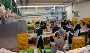 بازدید استاندار تهران از کارخانه پویا پروتئین شهریار