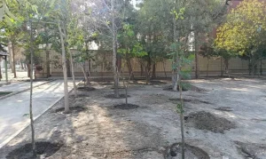 بازپیرایی و احیای بوستان دانشجو شهرقدس