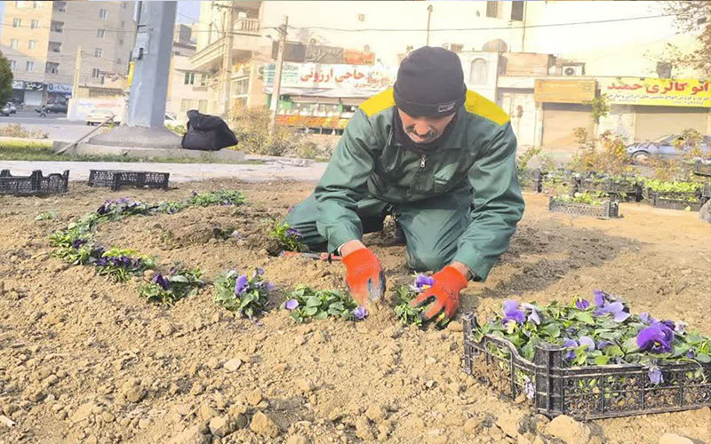 بهسازی فضای سبز شهرقدس