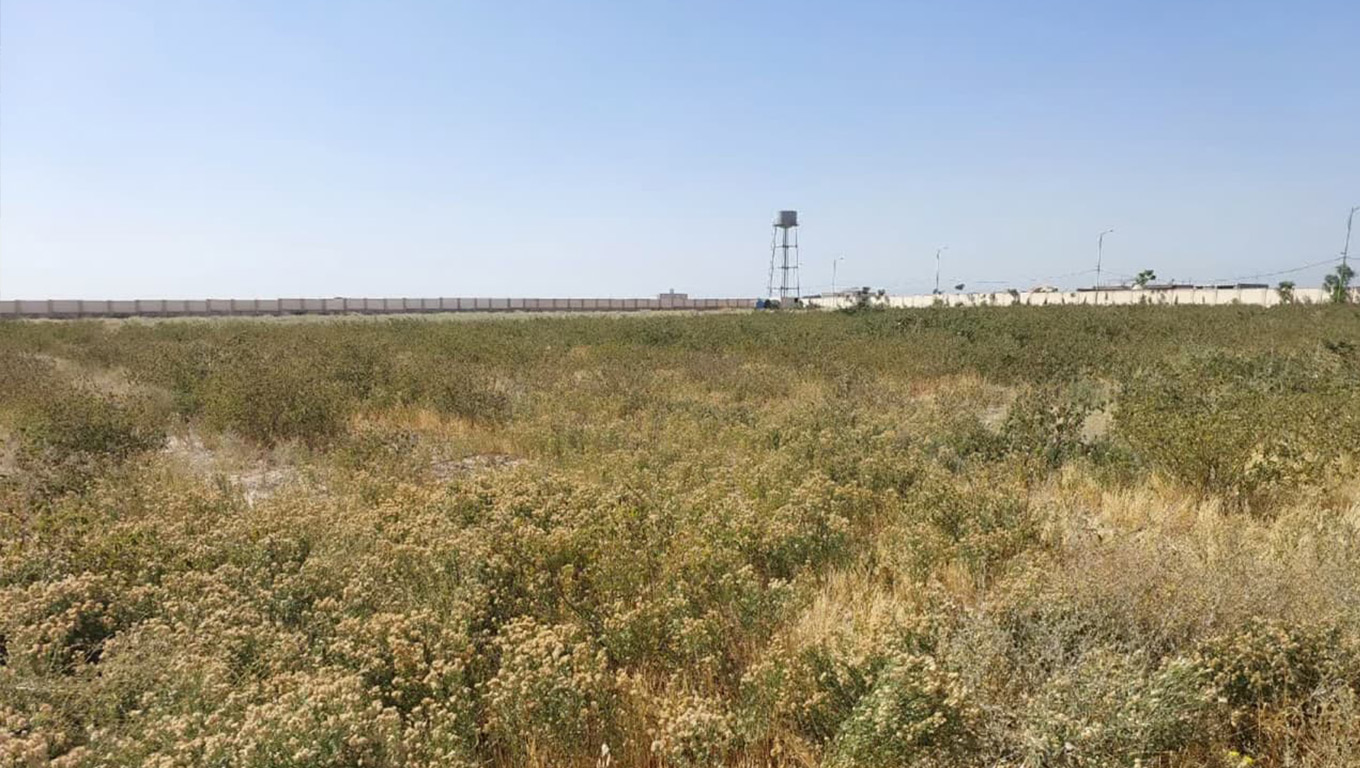 دانشگاه ملارد