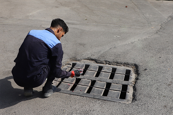 طعمه‌گذاری و امحای جانوران موذی در معابر شهر قدس