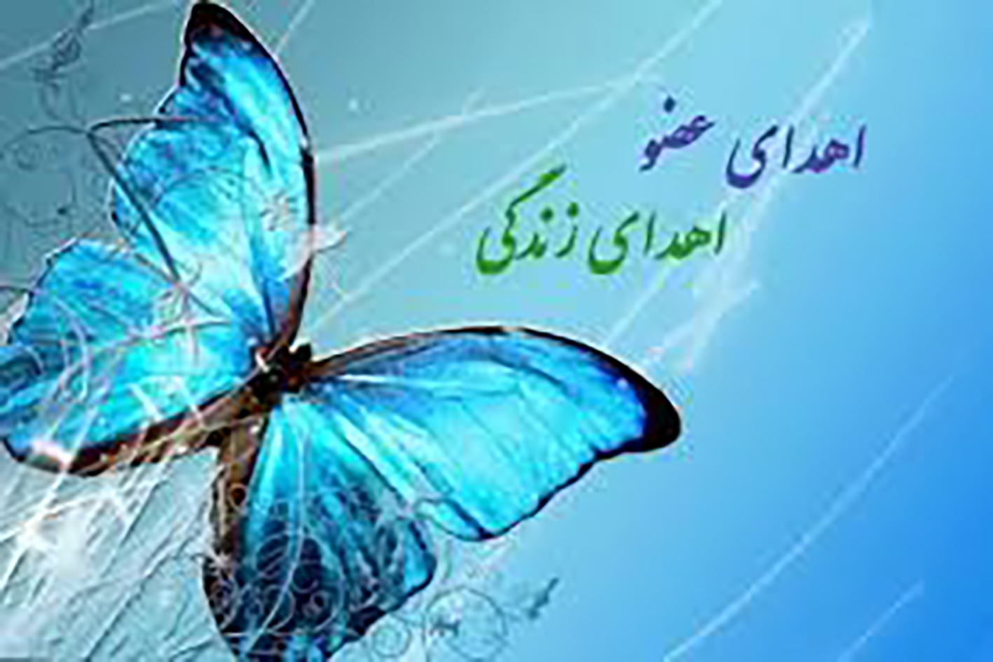 پیام تجلیل شهردار شهریار از اقدام خداپسندانه خانواده مرحومه شیما اسفندیاری